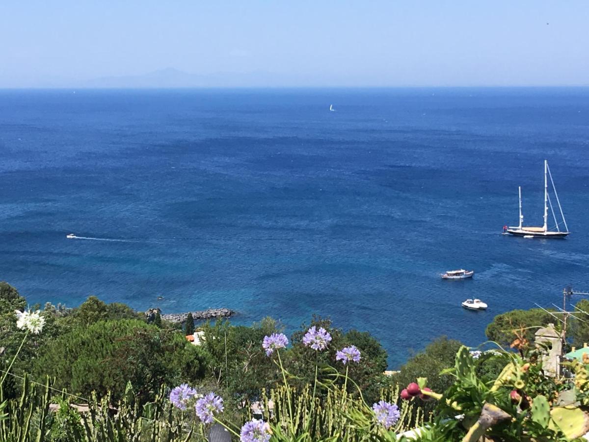 Agapanto Luxury Accommodation Casamicciola Terme Luaran gambar