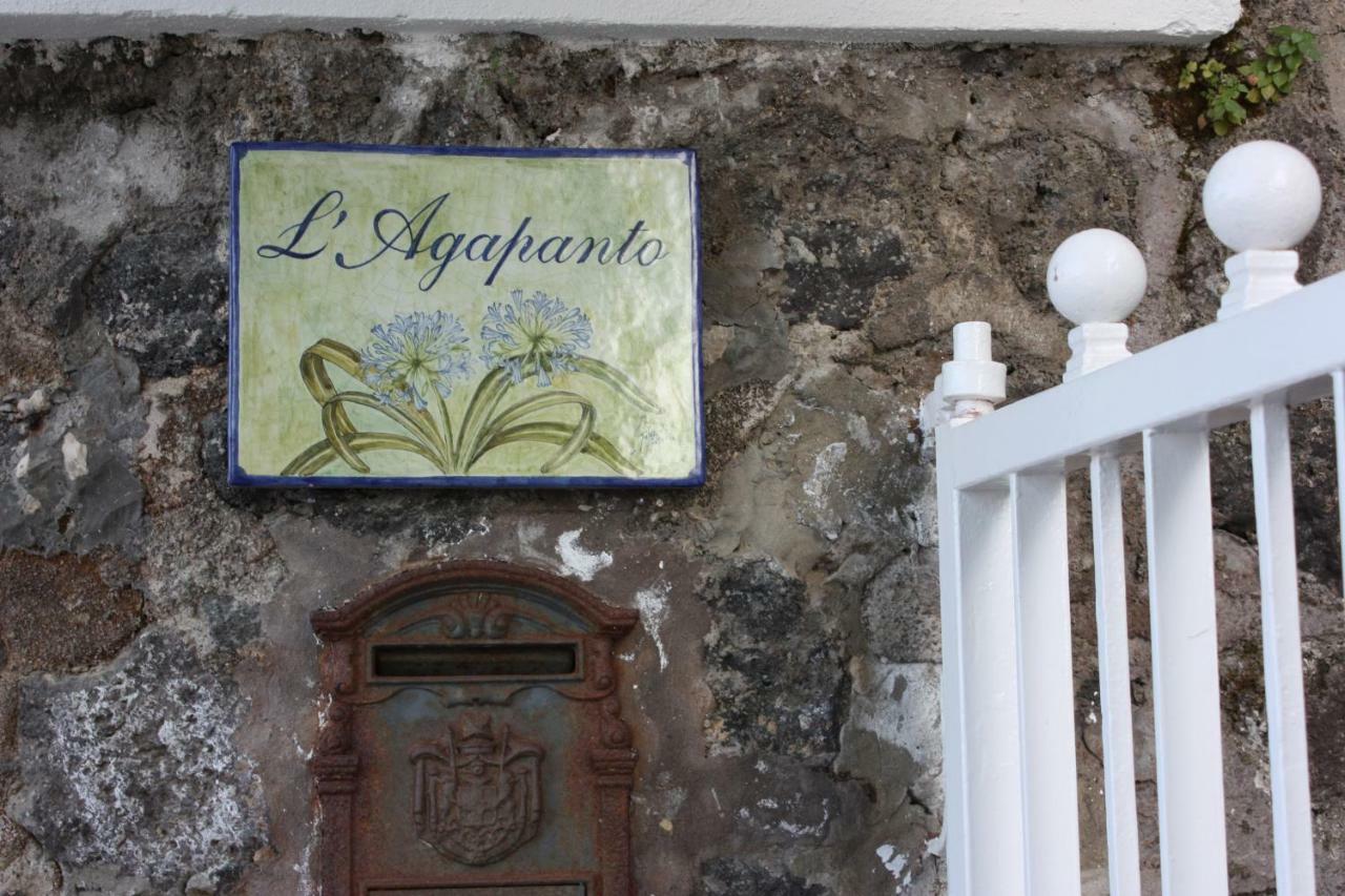 Agapanto Luxury Accommodation Casamicciola Terme Luaran gambar