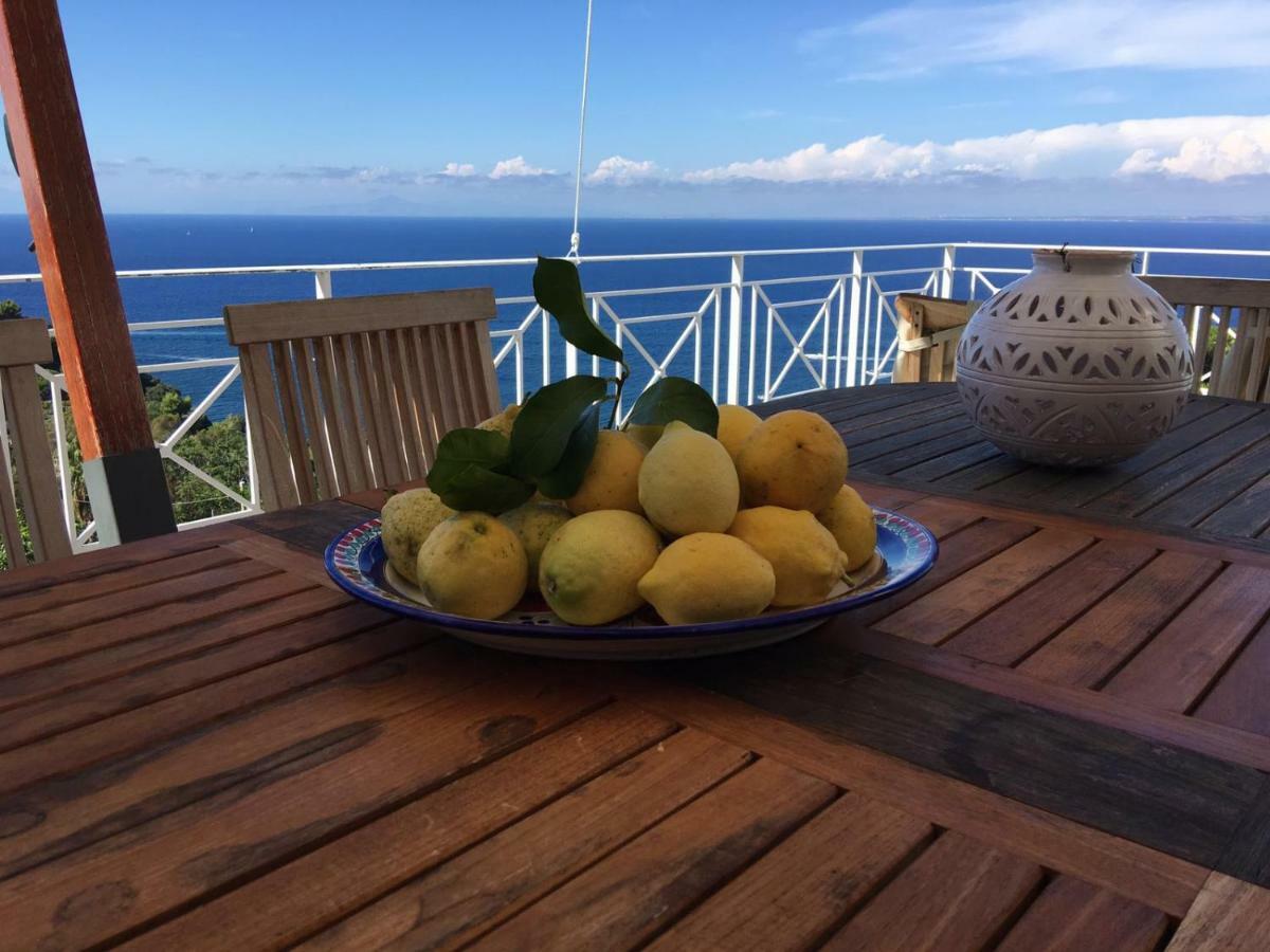 Agapanto Luxury Accommodation Casamicciola Terme Luaran gambar