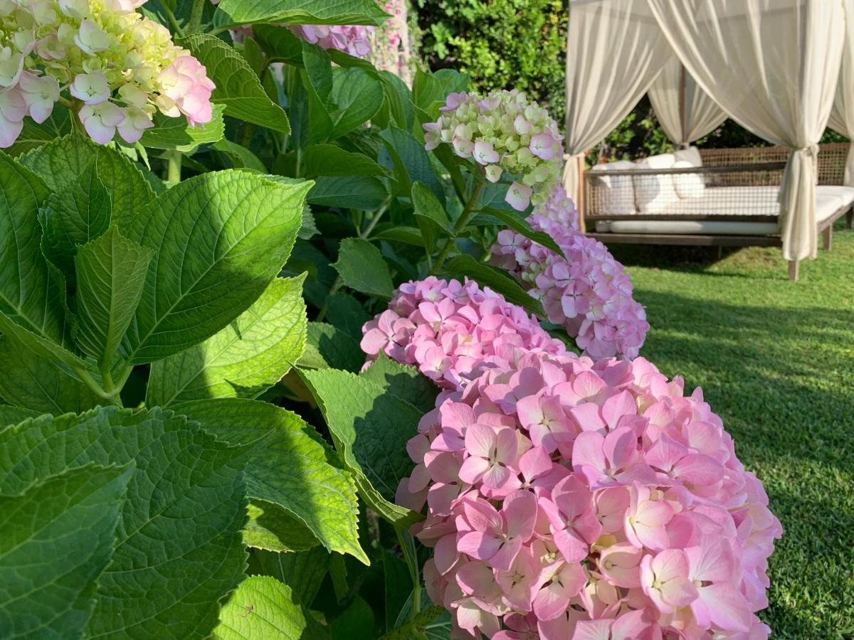 Agapanto Luxury Accommodation Casamicciola Terme Luaran gambar